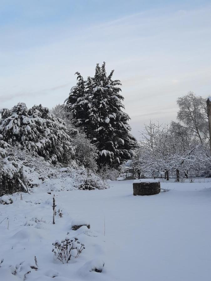 Bed and Breakfast La Grange Aux Dames Geville Exterior foto